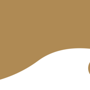 RAL 1011 Blank Polyester - 1 kg