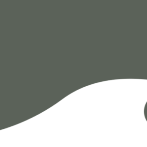 RAL 7009 Blank Polyester - 1 kg