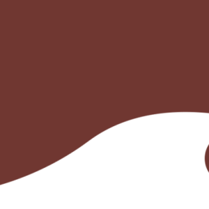 RAL 3009 Blank Polyester - 1 kg